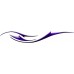 Wind_103